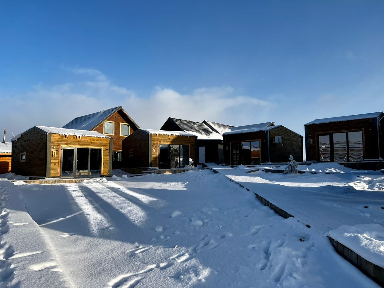 правительство РБ    сайт