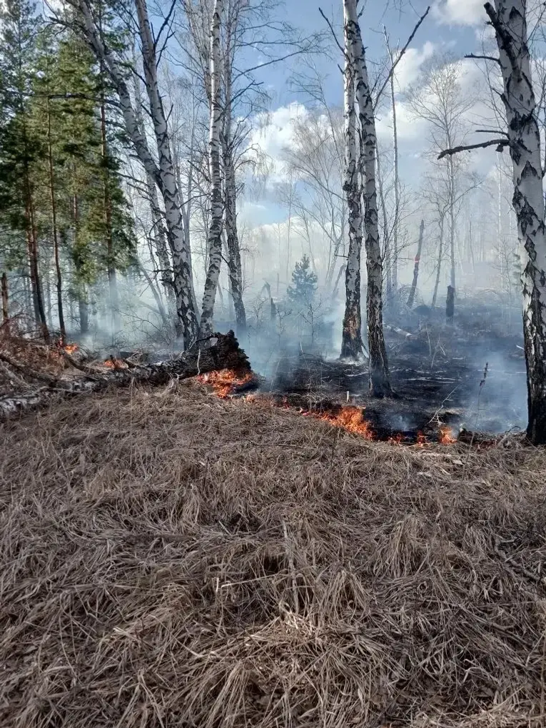 пресс-служба минлесхоза Башкирии