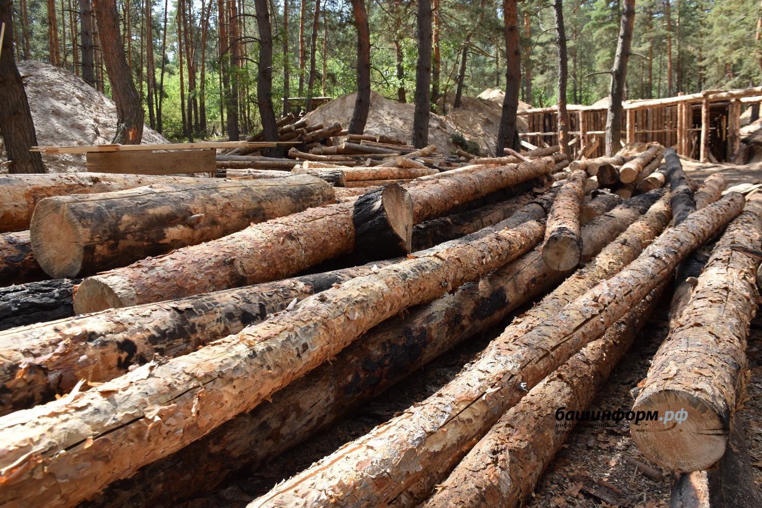 Эдуард Кускарбеков