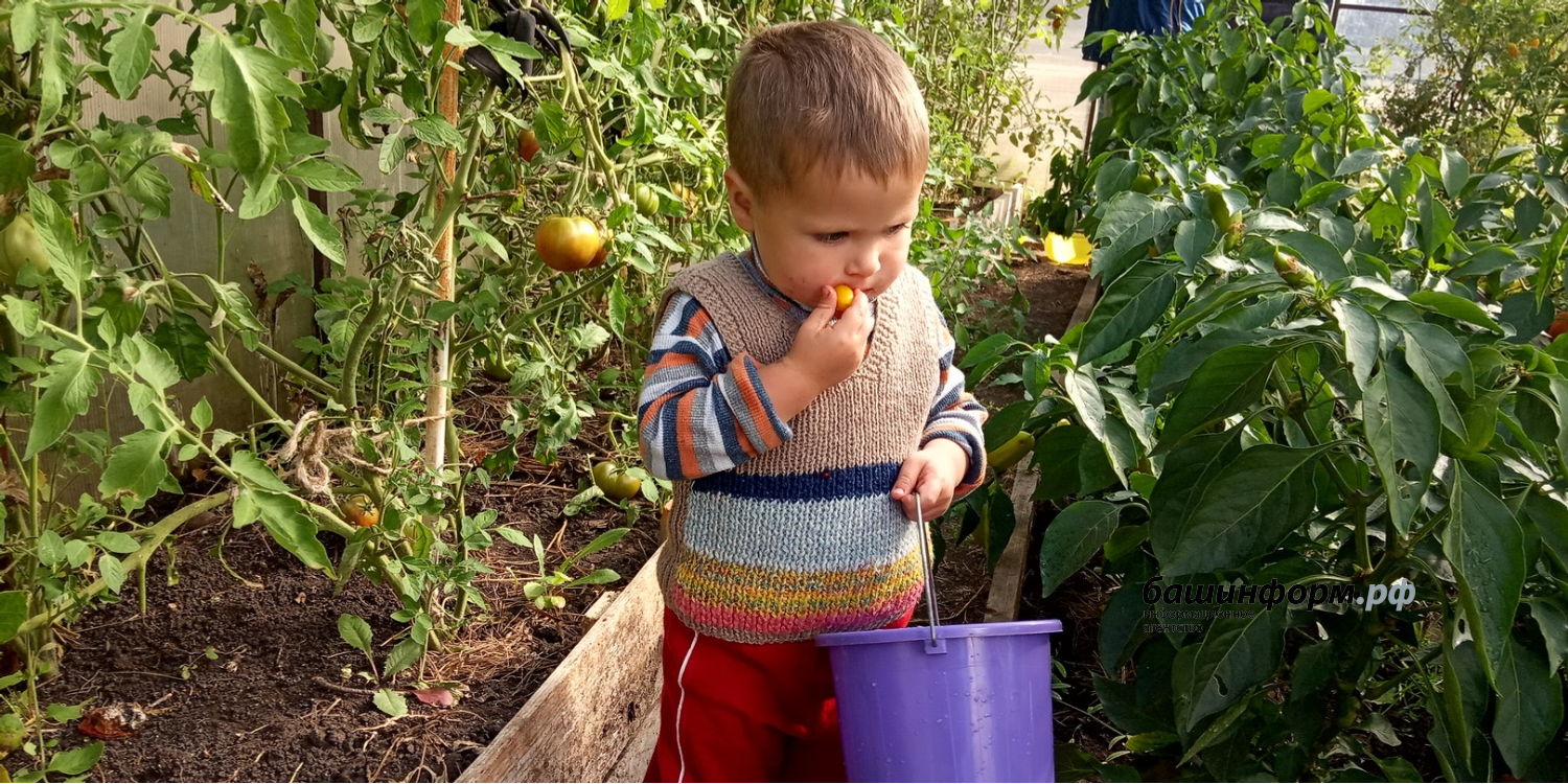 Валерий Шахов ИА «Башинформ»