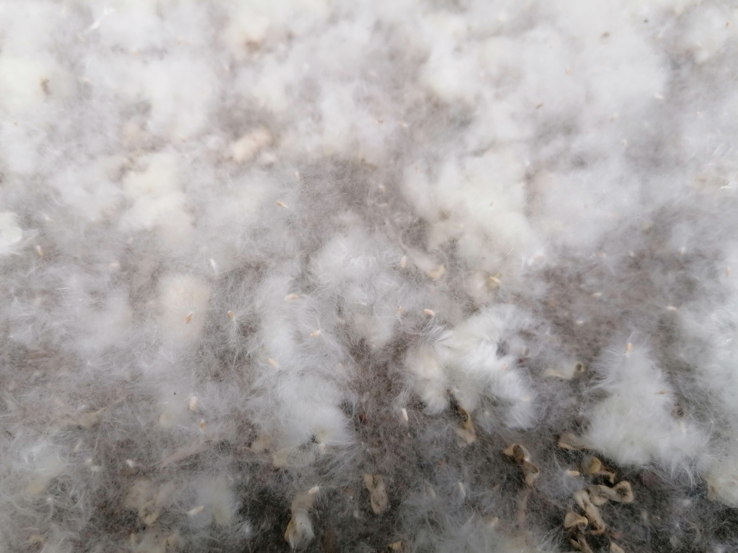 ИА «Башинформ»