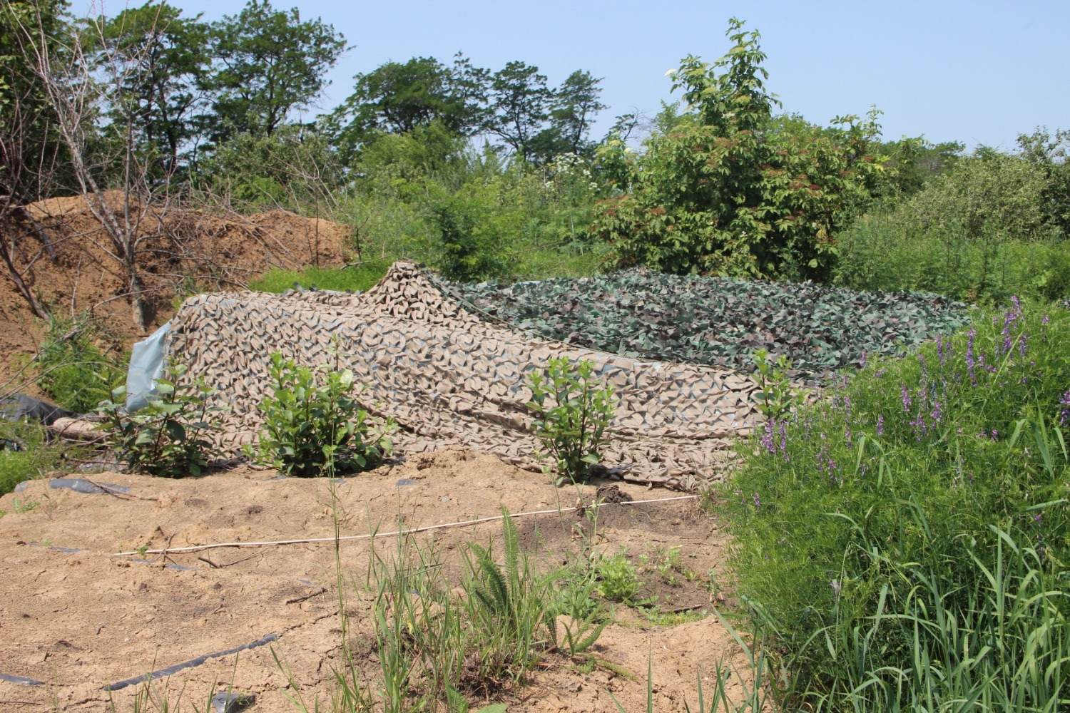 Эдуард Кускарбеков