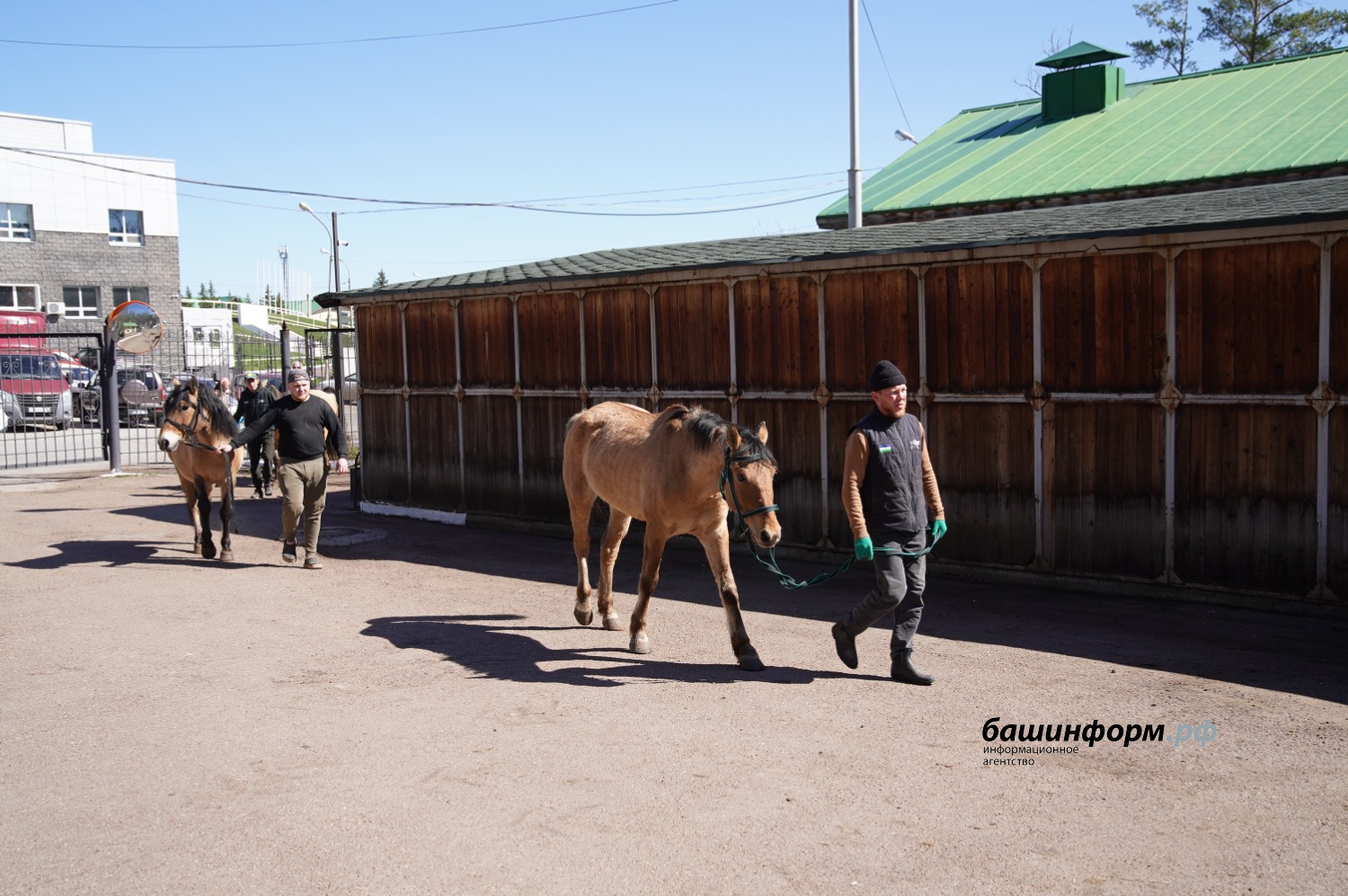 Олег Яровиков ИА "Башинформ"