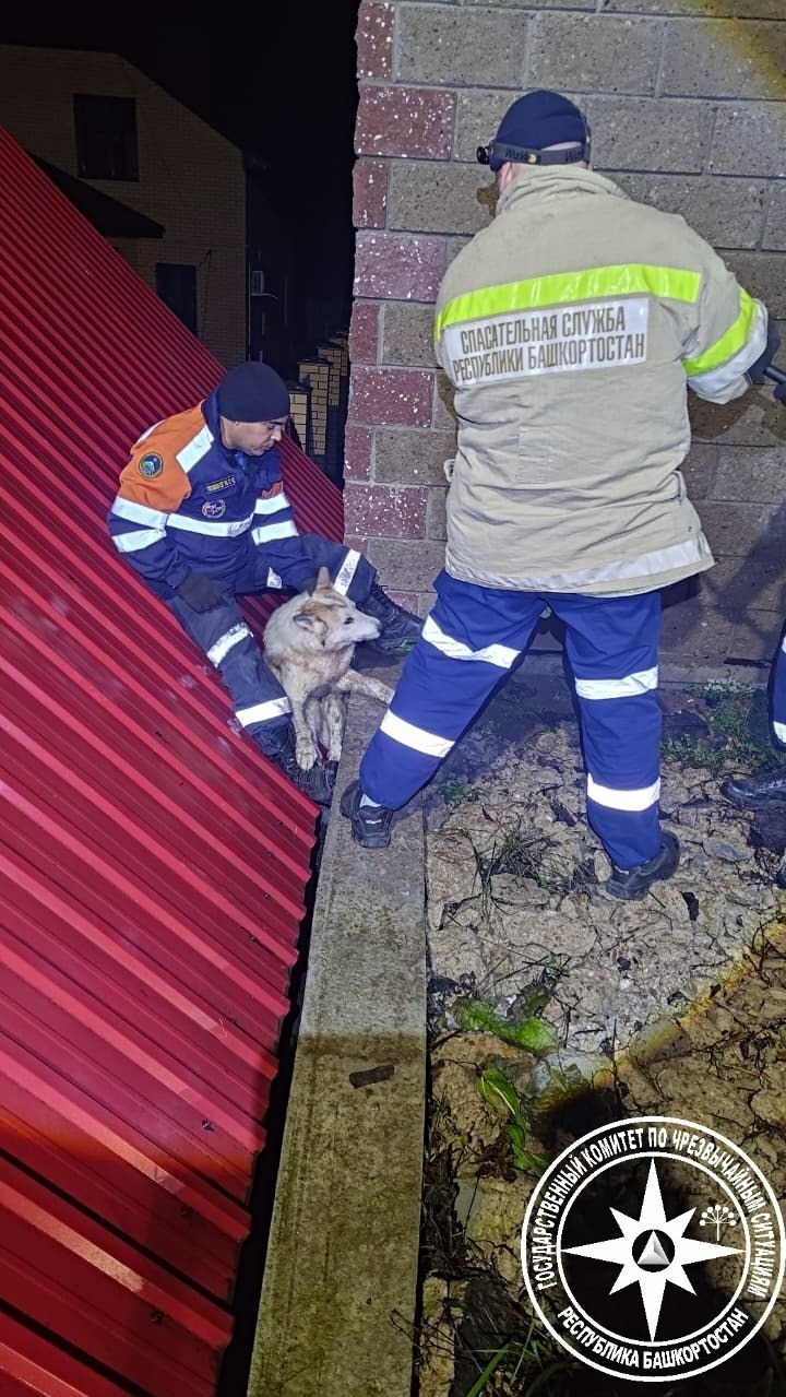 пресс-служба  госкомитета РБ по ЧС