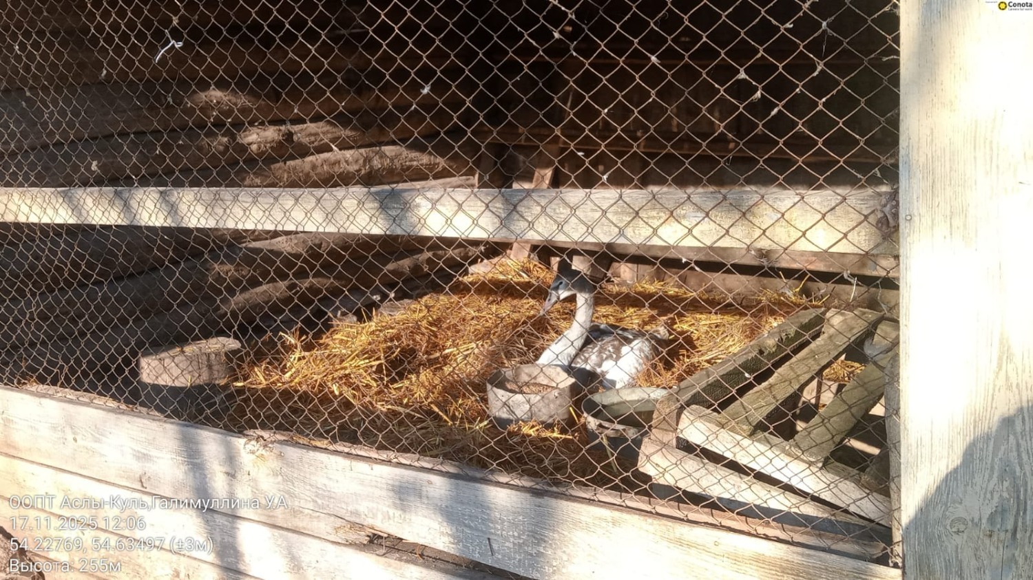 Галимуллина У. А. природный парк "Аслы-куль"