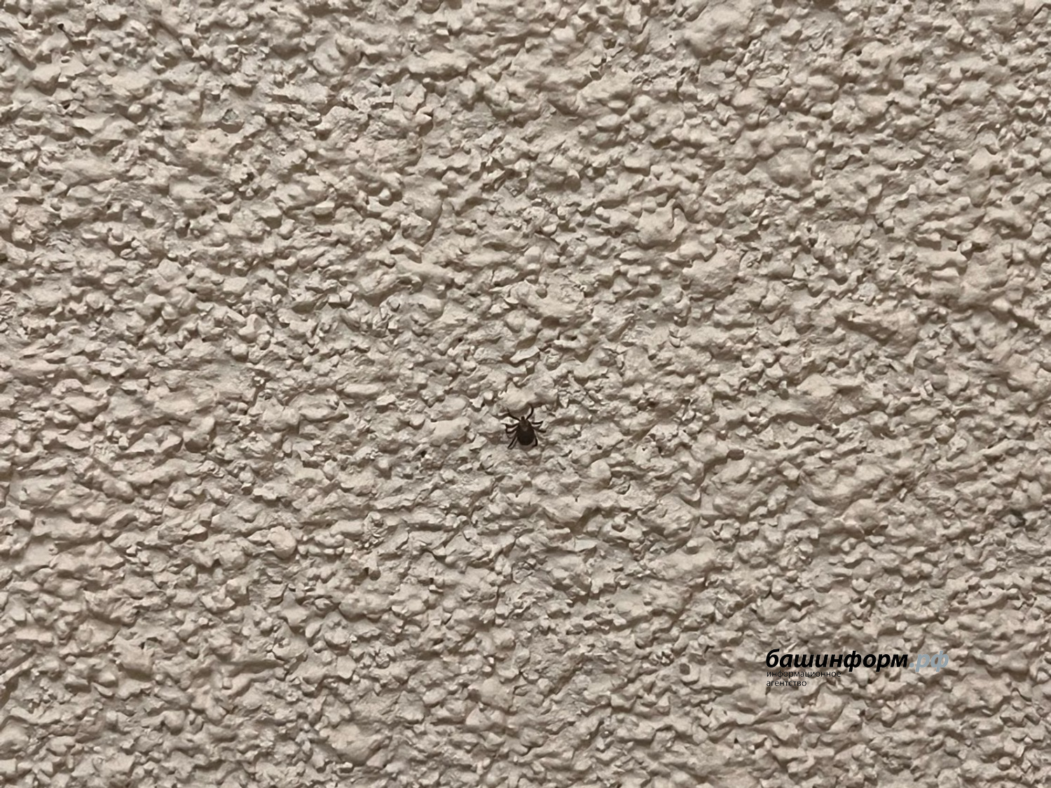 Ксения Калинина