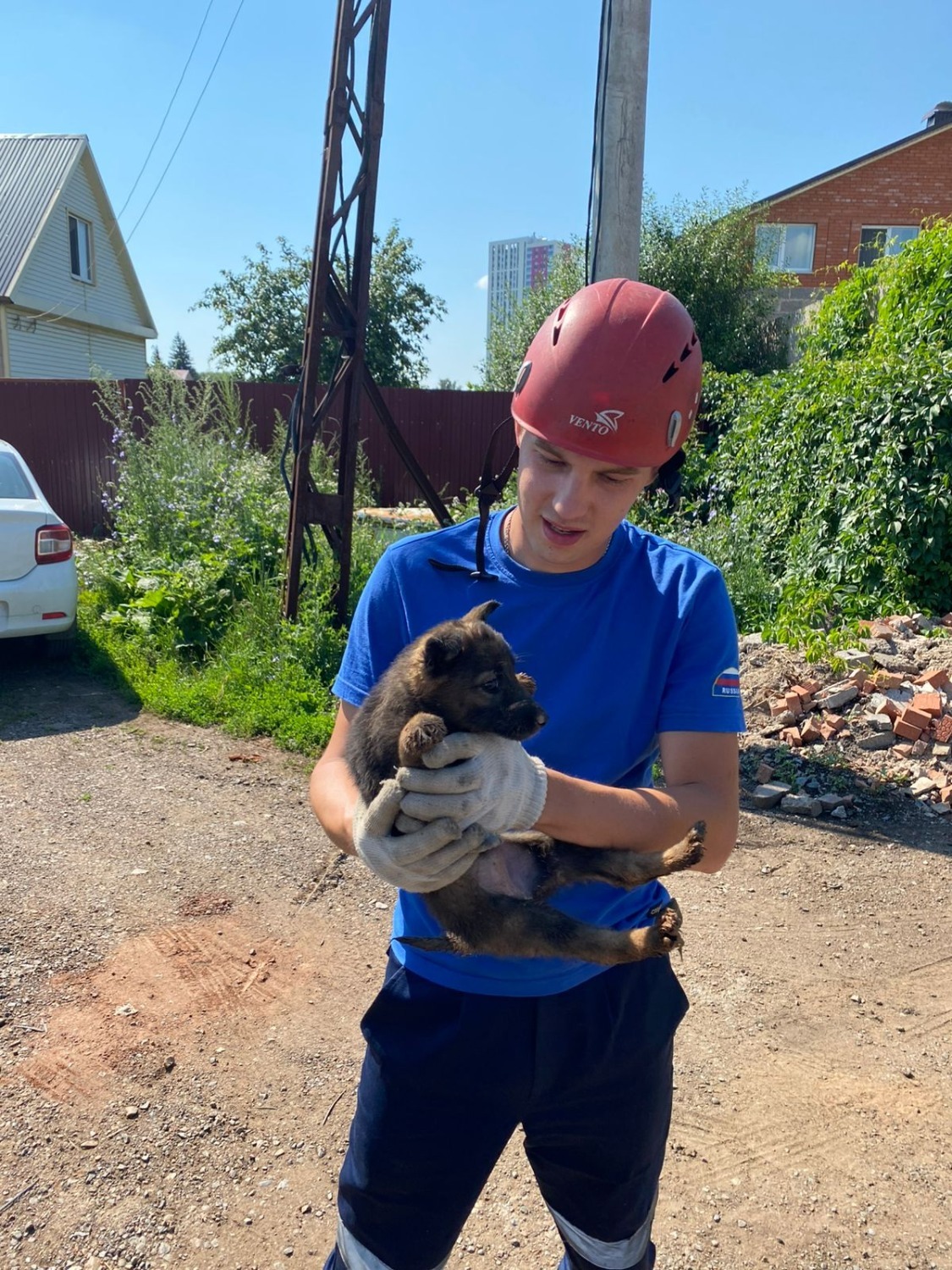 предоставлено Алексеем Чипчевым