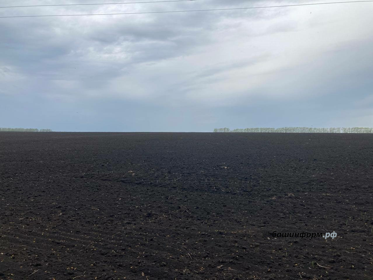 Андрей Назаров телеграм-канал