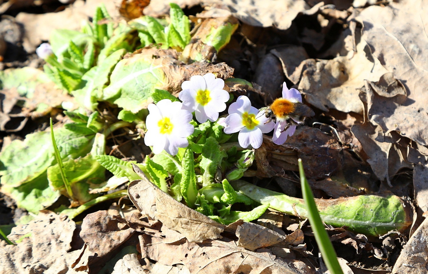 Валерий Шахов ИА «Башинформ»