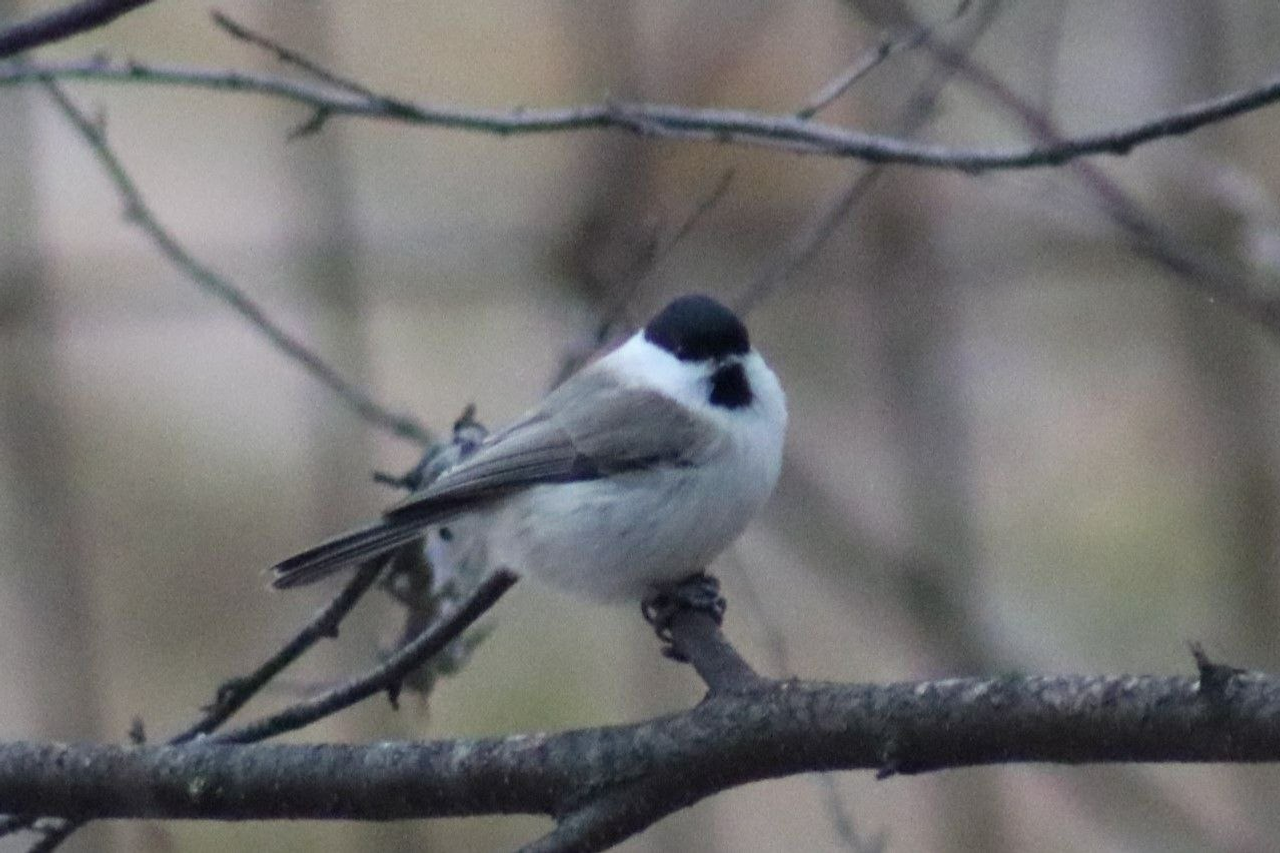 пресс-служба нацпарка «Башкирия»