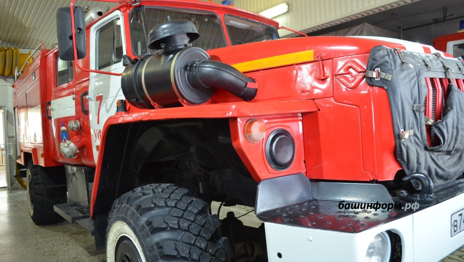 Ксения Калинина