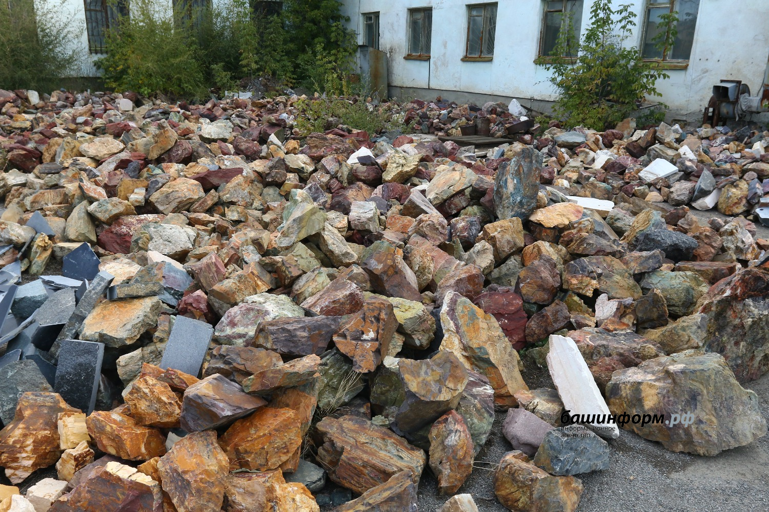 Валерий Шахов