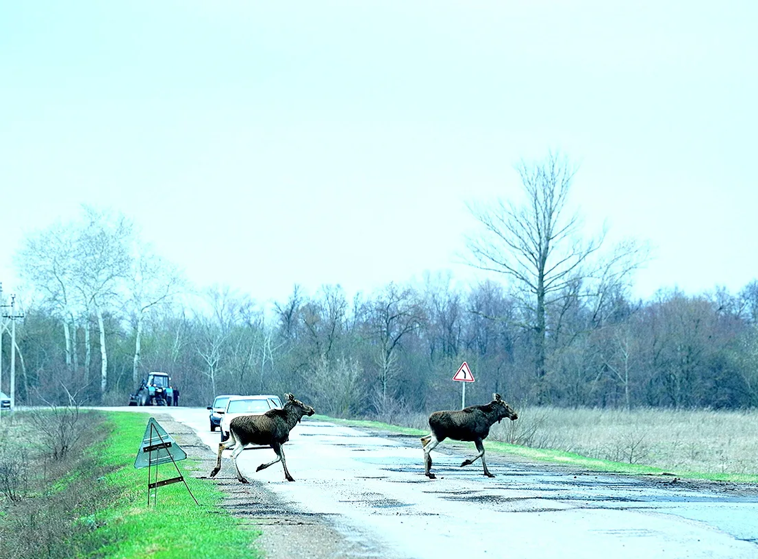 Олег Яровиков ИА "Башинформ"
