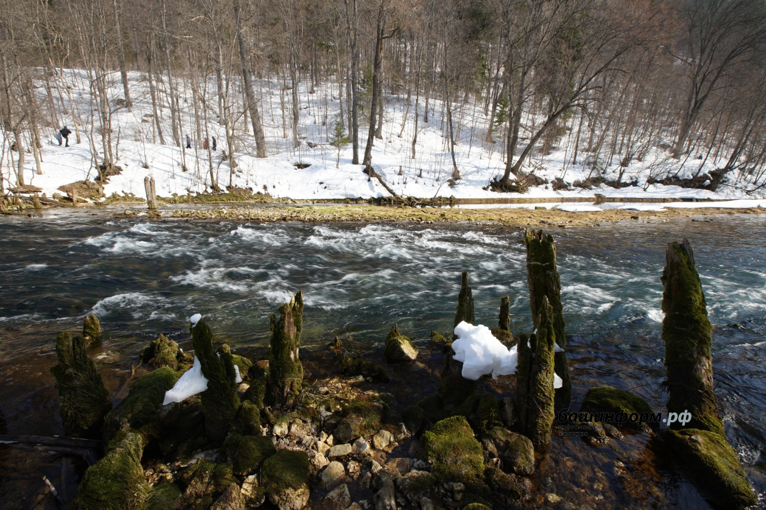 Олег Яровиков ИА "Башкортостан"