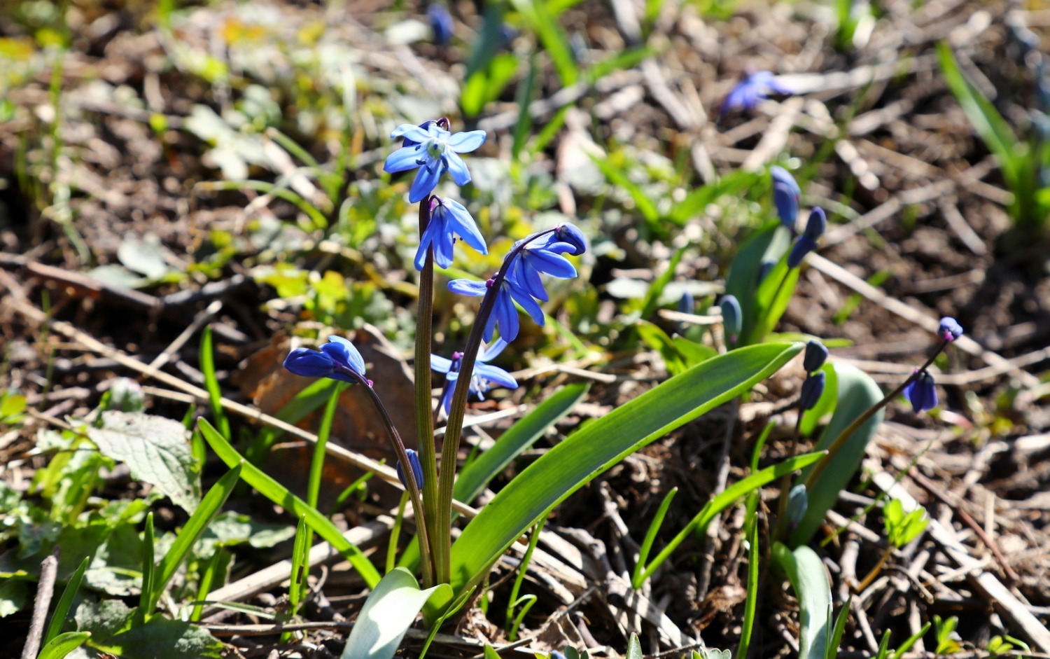 Валерий Шахов ИА «Башинформ»