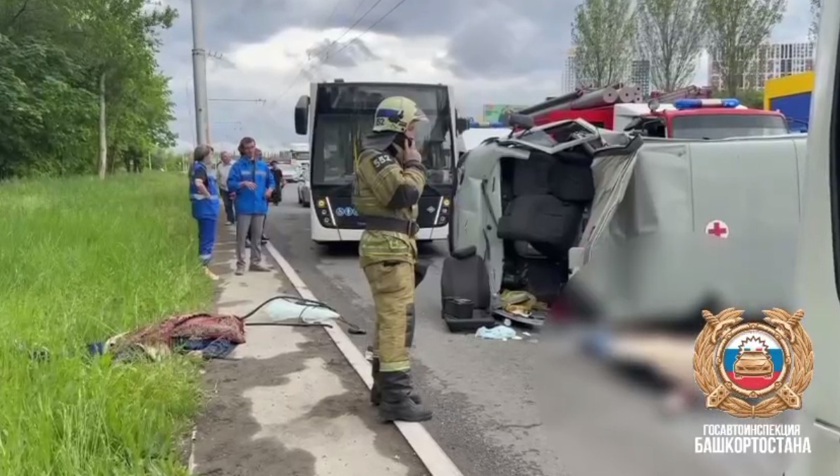 скриншот видео