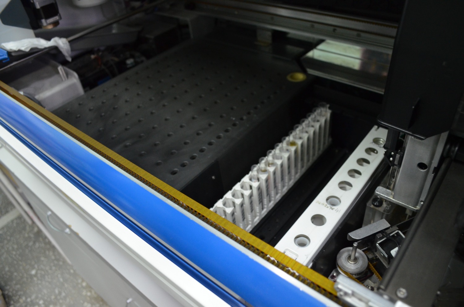 Ксения Калинина