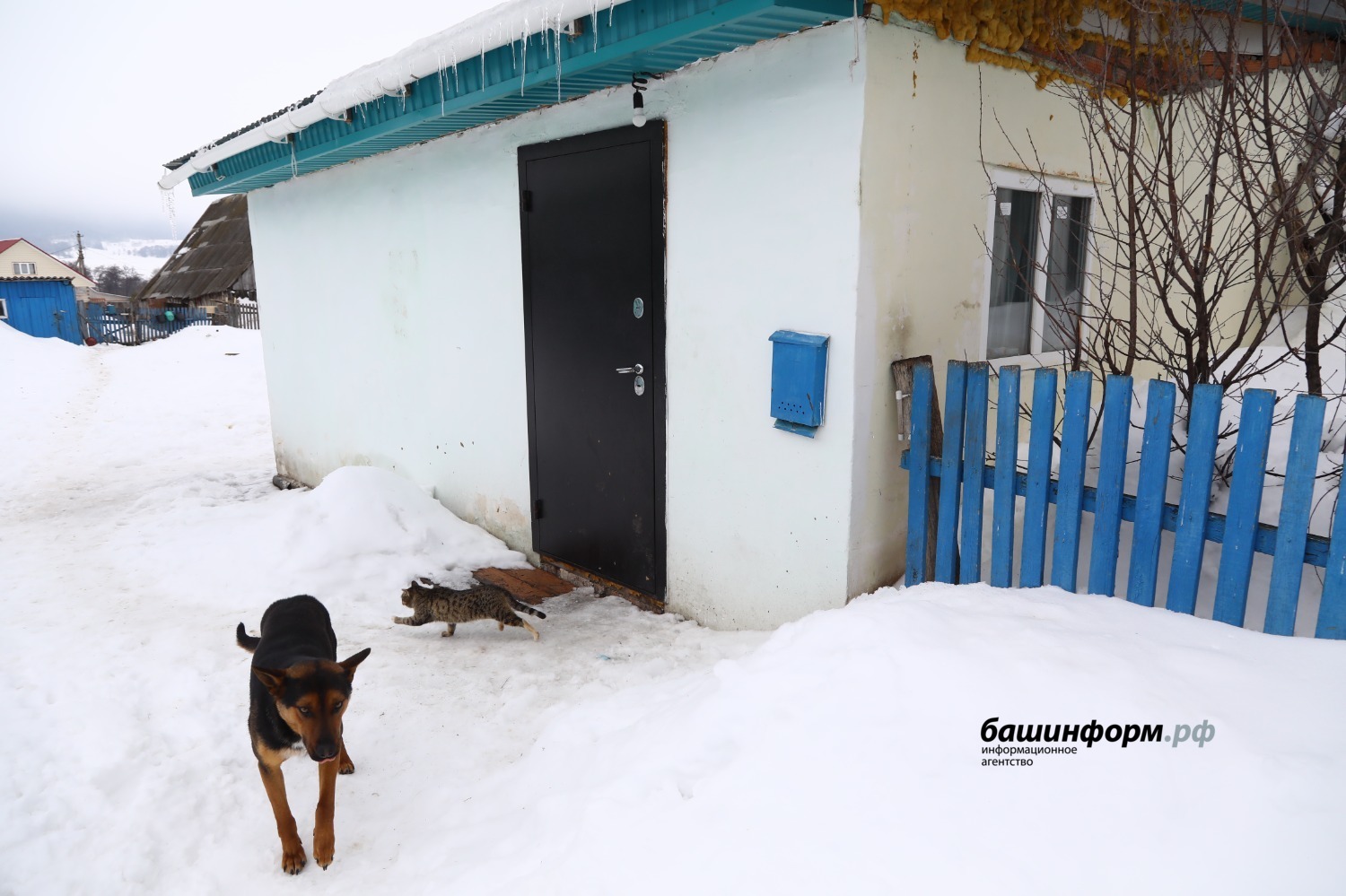Валерий Шахов ИА «Башинформ»