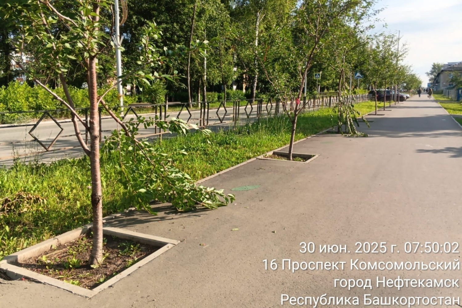 Эльдар Валидов, Vk