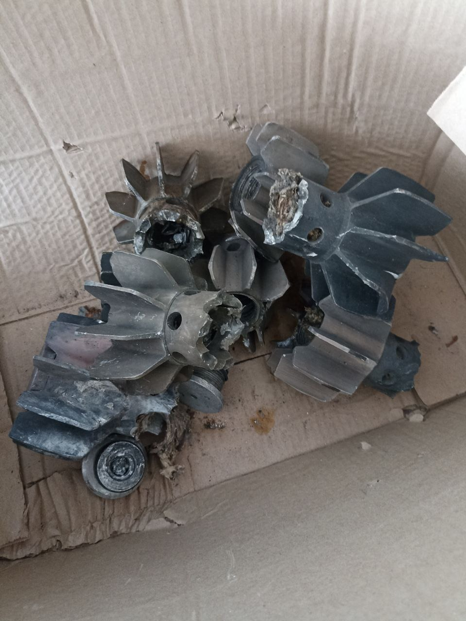 из личного архива Венера Якупова