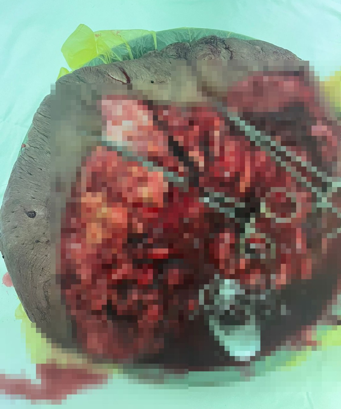 предоставлено Тагиром Нагаевым