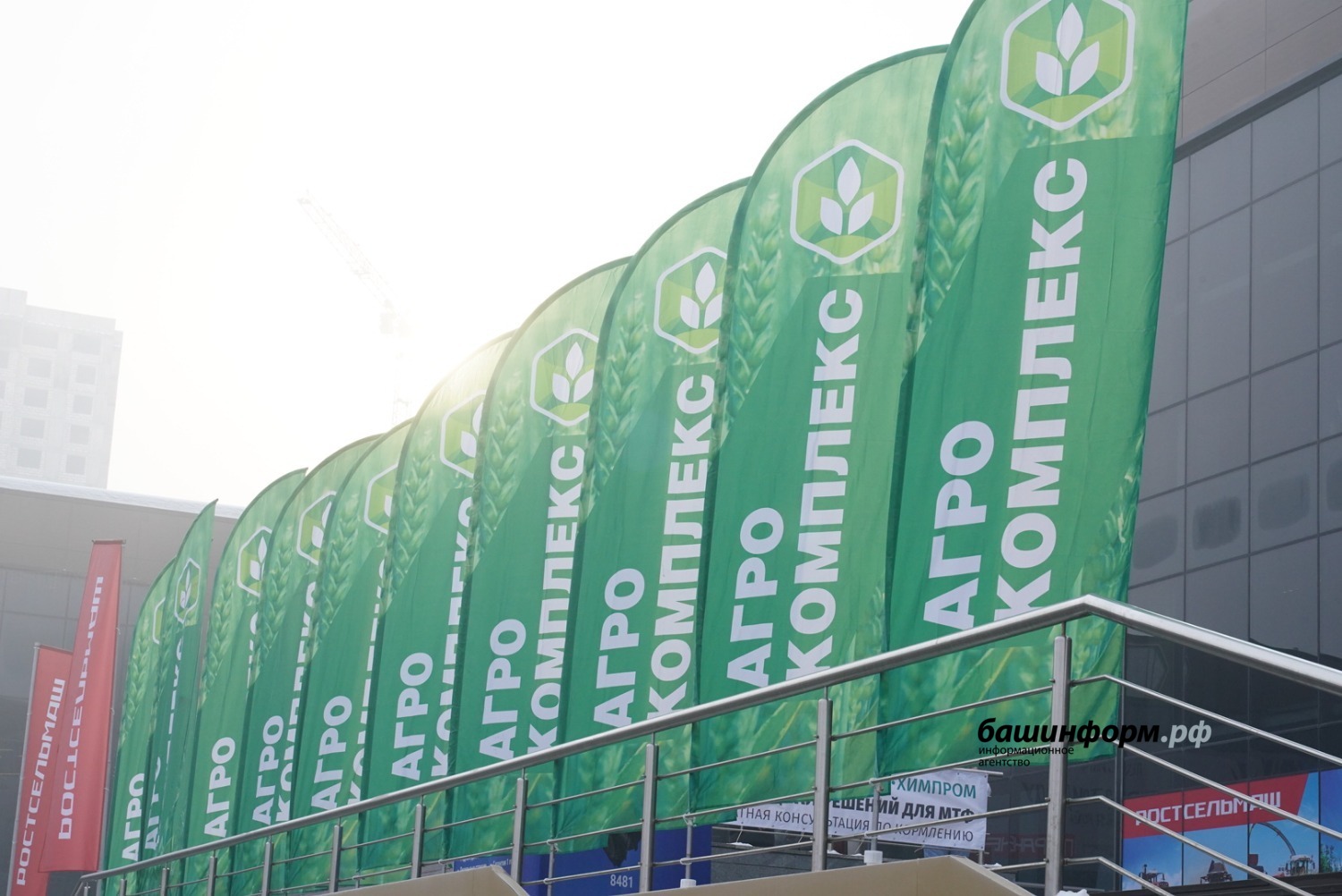 Олег Яровиков ИА «Башинформ»