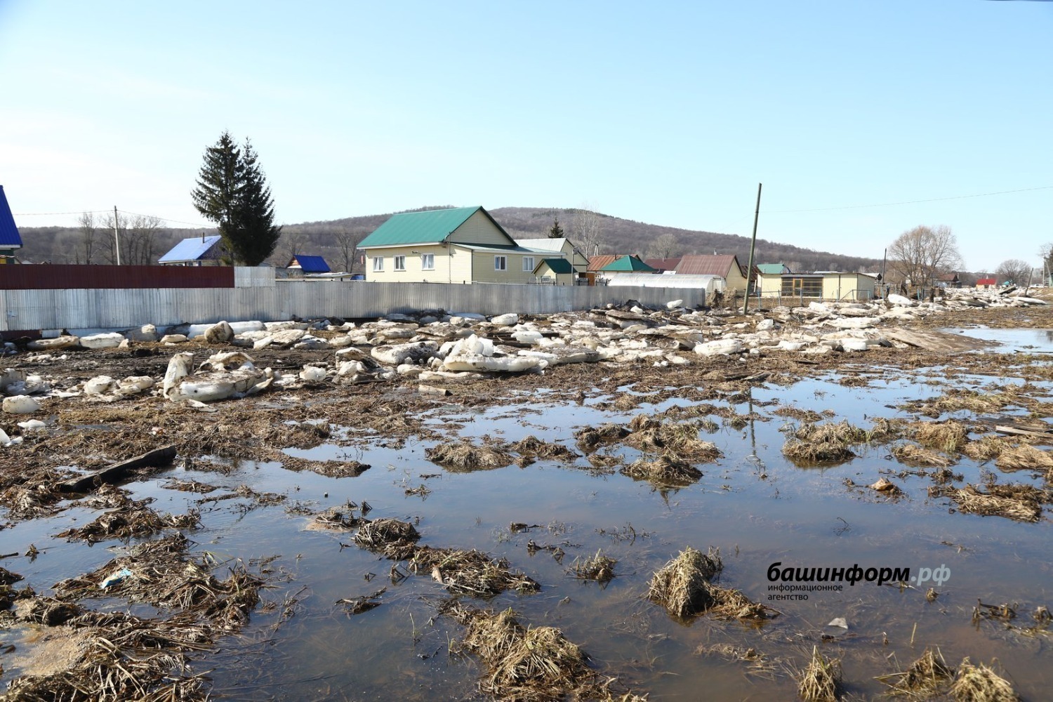 Валерий Шахов