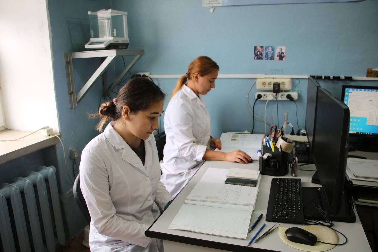 telegram-канал Главы Республики Башкортостан Радия Хабирова