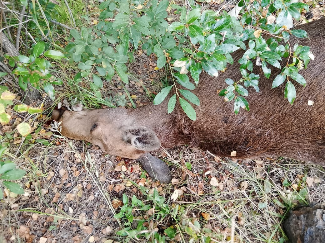 минэкологии Башкирии