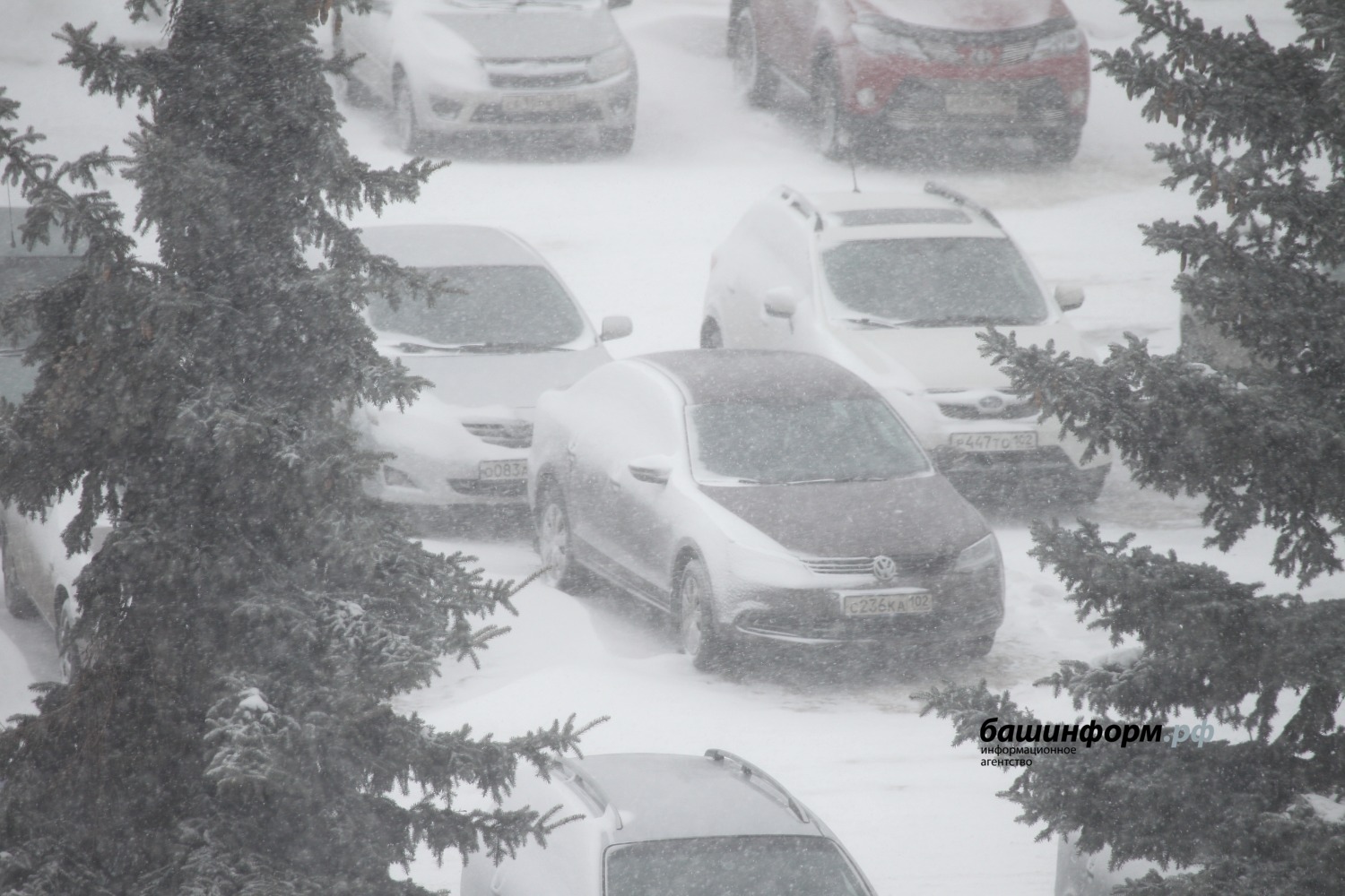 Валерий Шахов ИА "Башинформ"