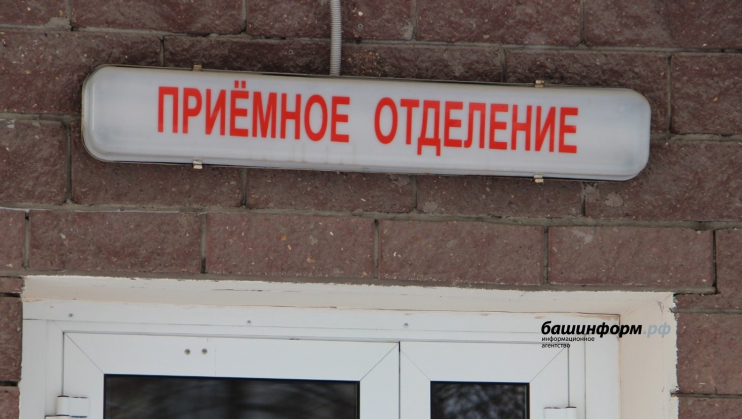 Ксения Калинина