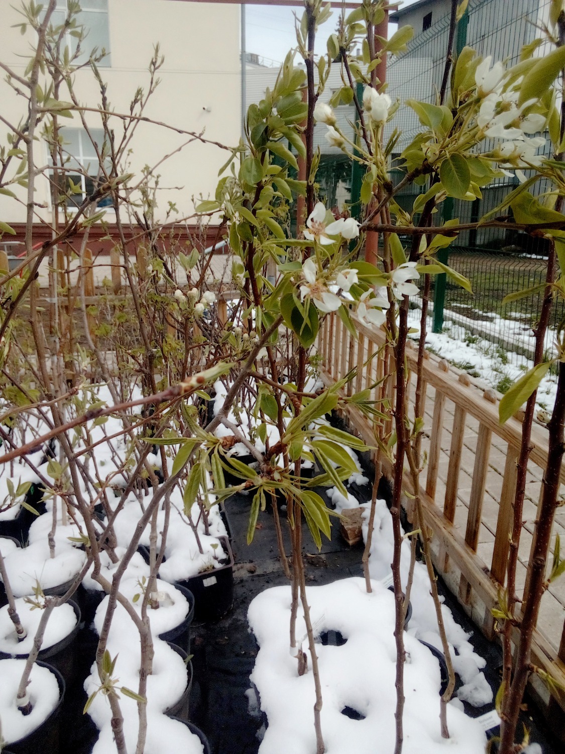 фото из личного архива Азата Валитова