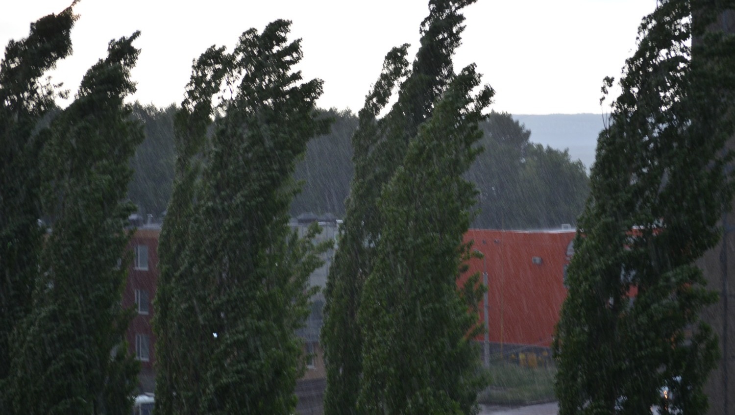 Ксения Калинина