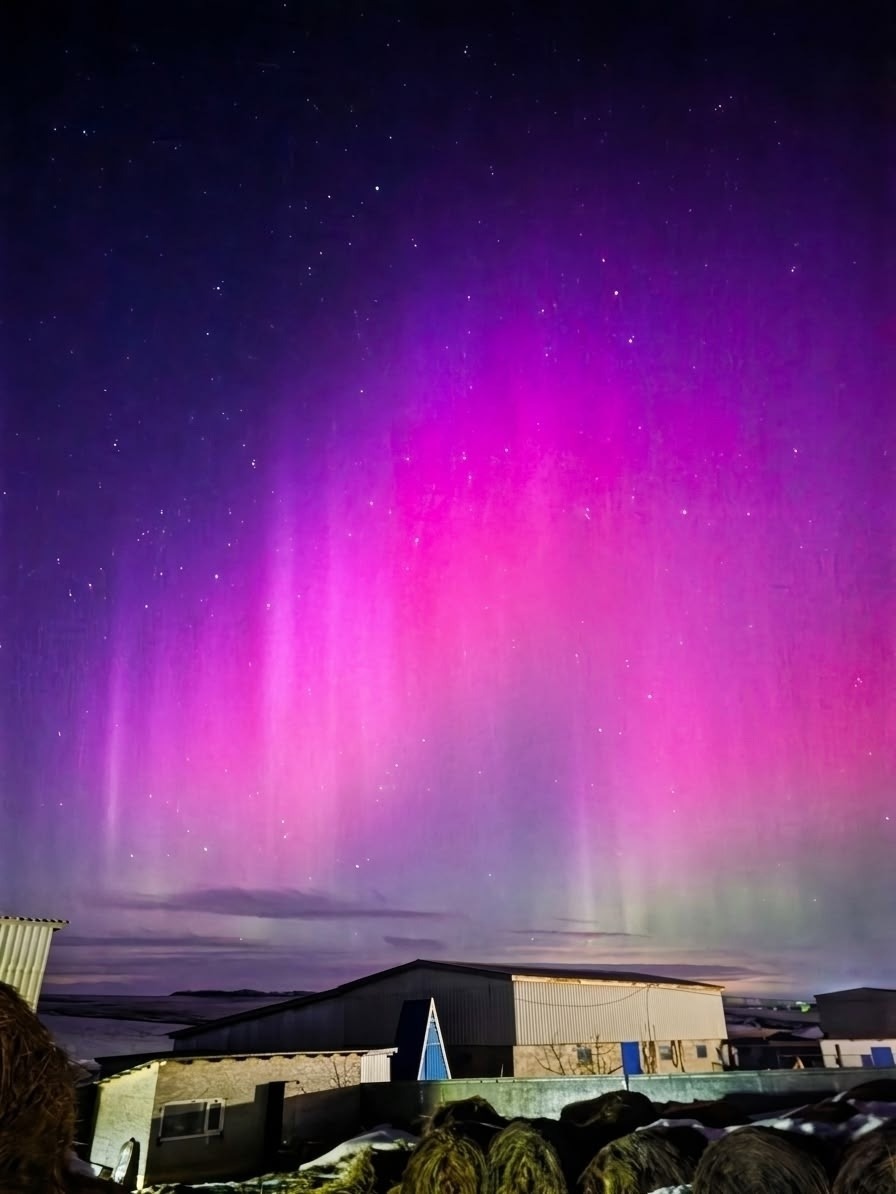 Фидан Ягудин  ВКонтакте