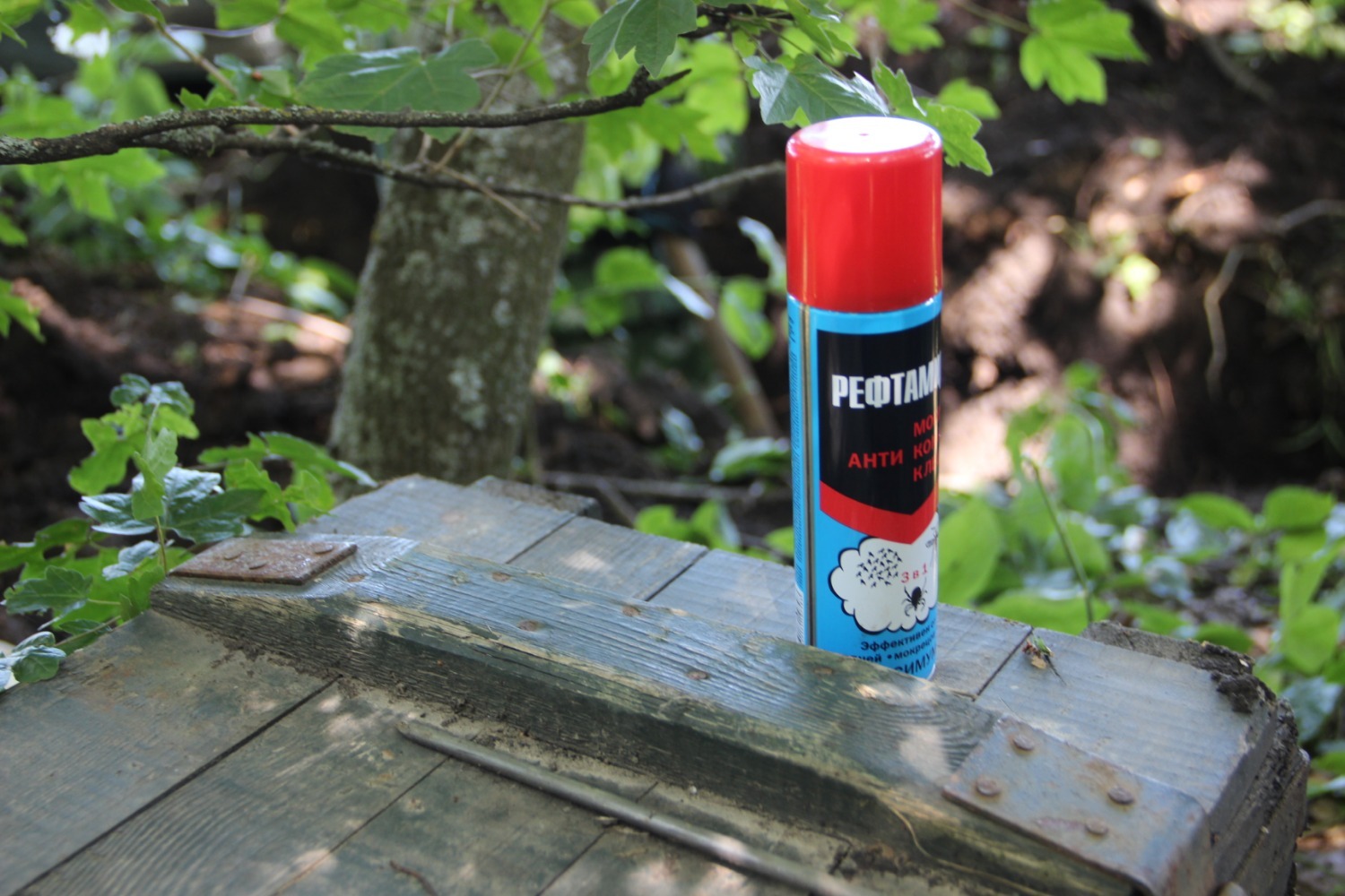 Эдуард Кускарбеков