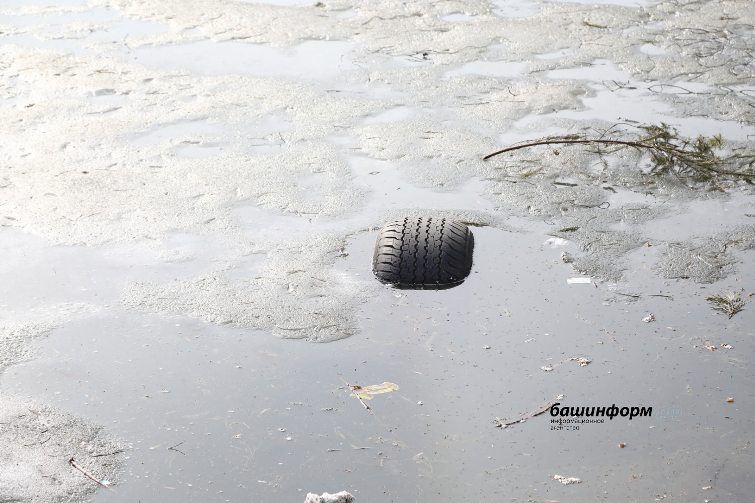 Валерий Шахов Фотобанк ИА «Башинформ»