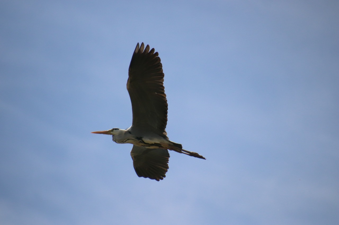 ПАО «Ростелеком» в Башкортостане предоставлено пресс-службой ПАО «Ростелеком» в Башкортостане
