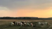 Ксения Калинина