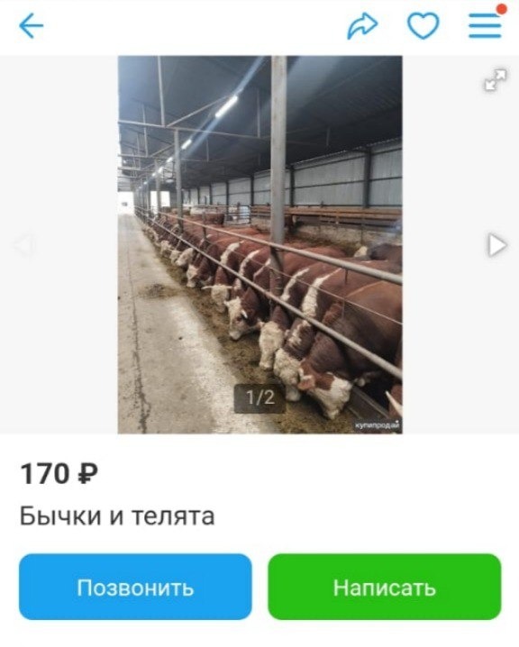 пресс-служба МВД по Республике Башкортостан