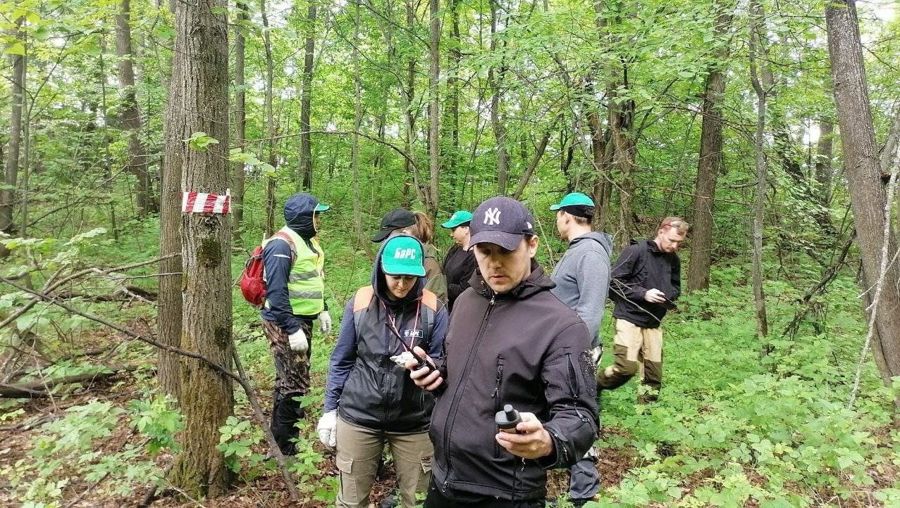 Поисковая группа в лесу