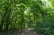 Ксения Калинина