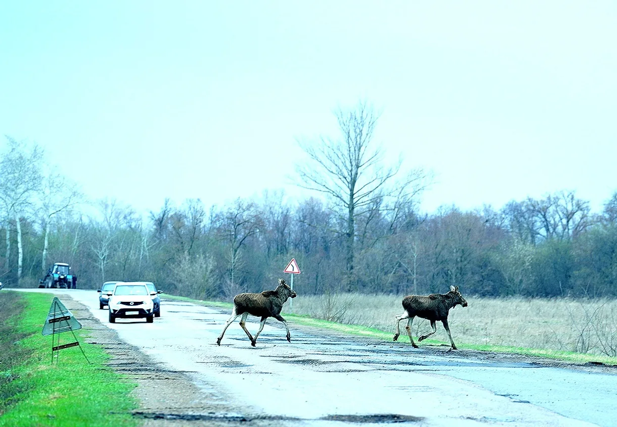 Олег Яровиков ИА "Башинформ"