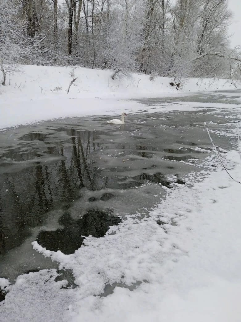 минэкологии РБ