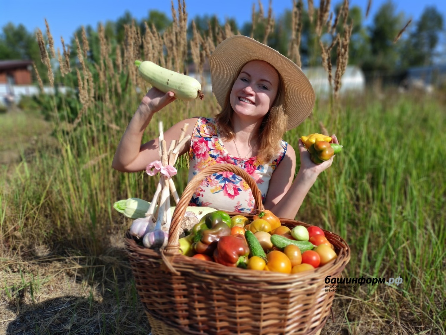 Валерий Шахов