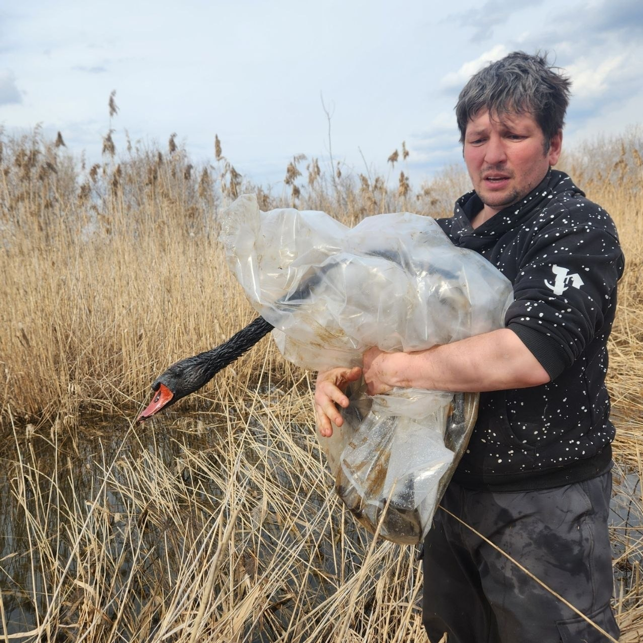 центр реабилитации диких животных "Пин и Пуф" телеграм
