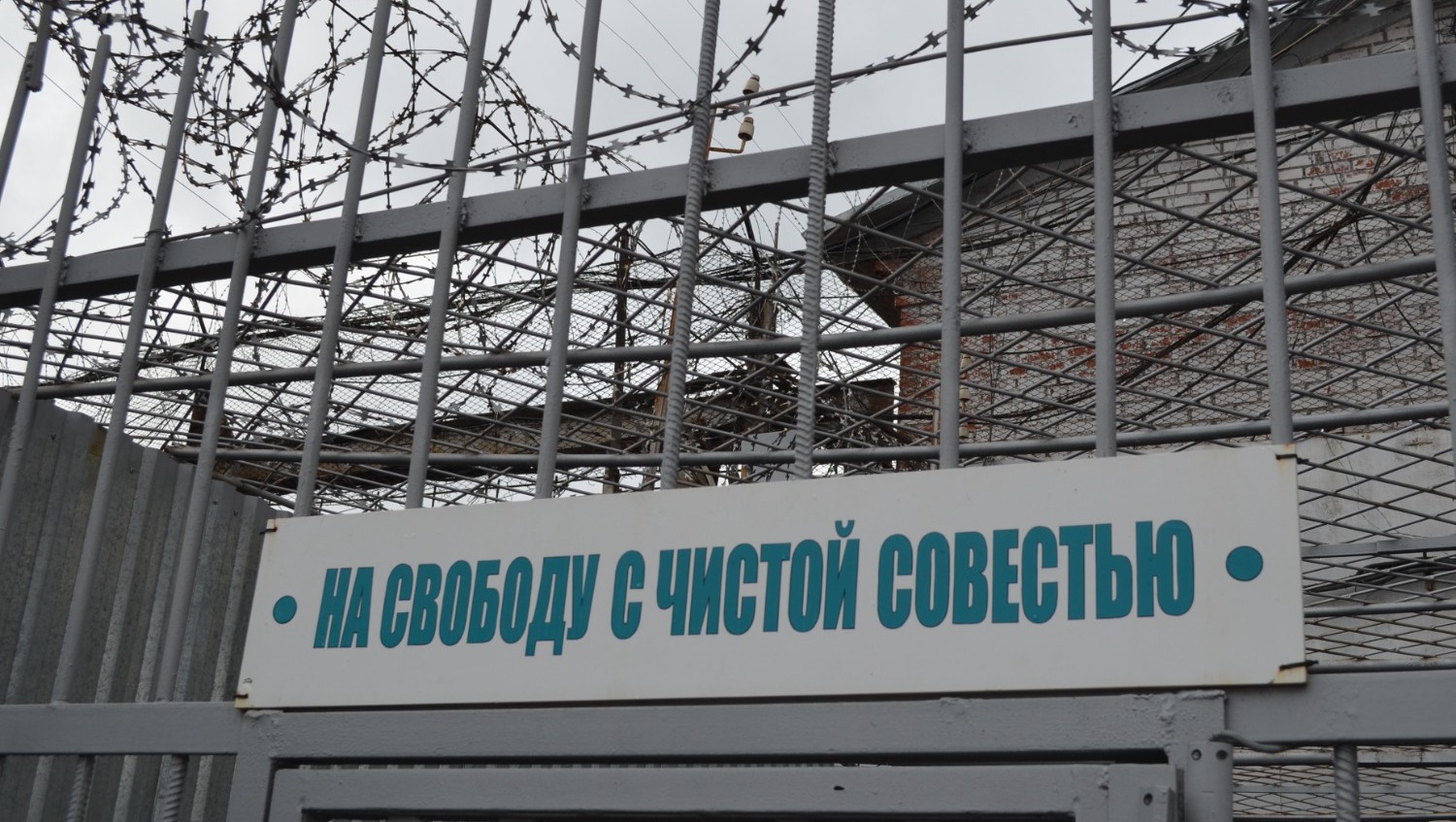 Ксения Калинина