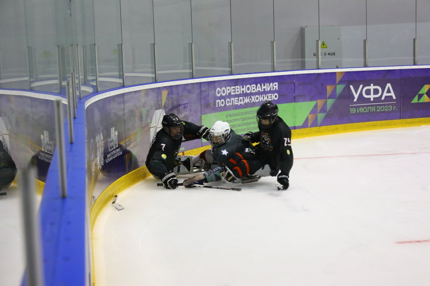 Валерий Шахов