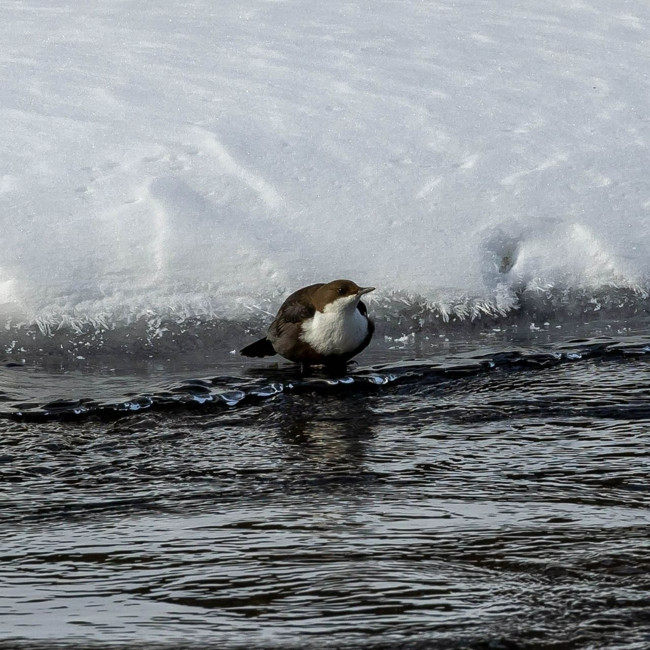 пресс-служба нацпарк «Башкирия»