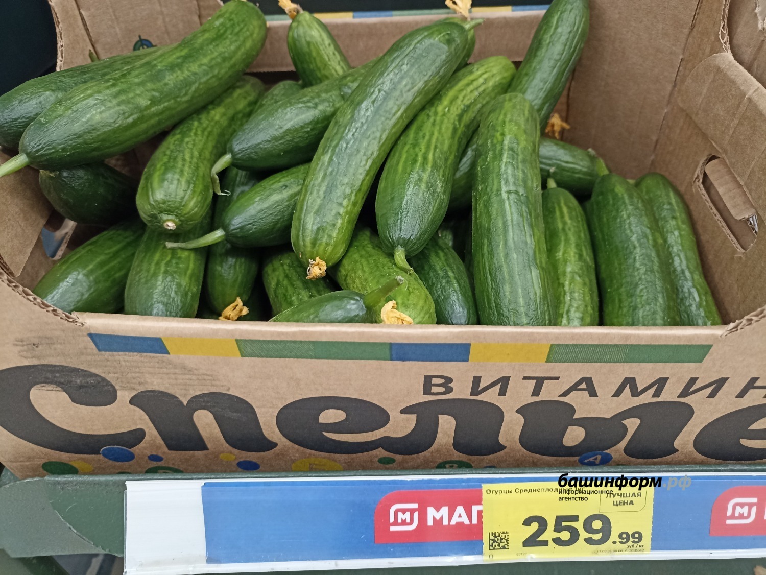 Олег Яровиков  Башинформ