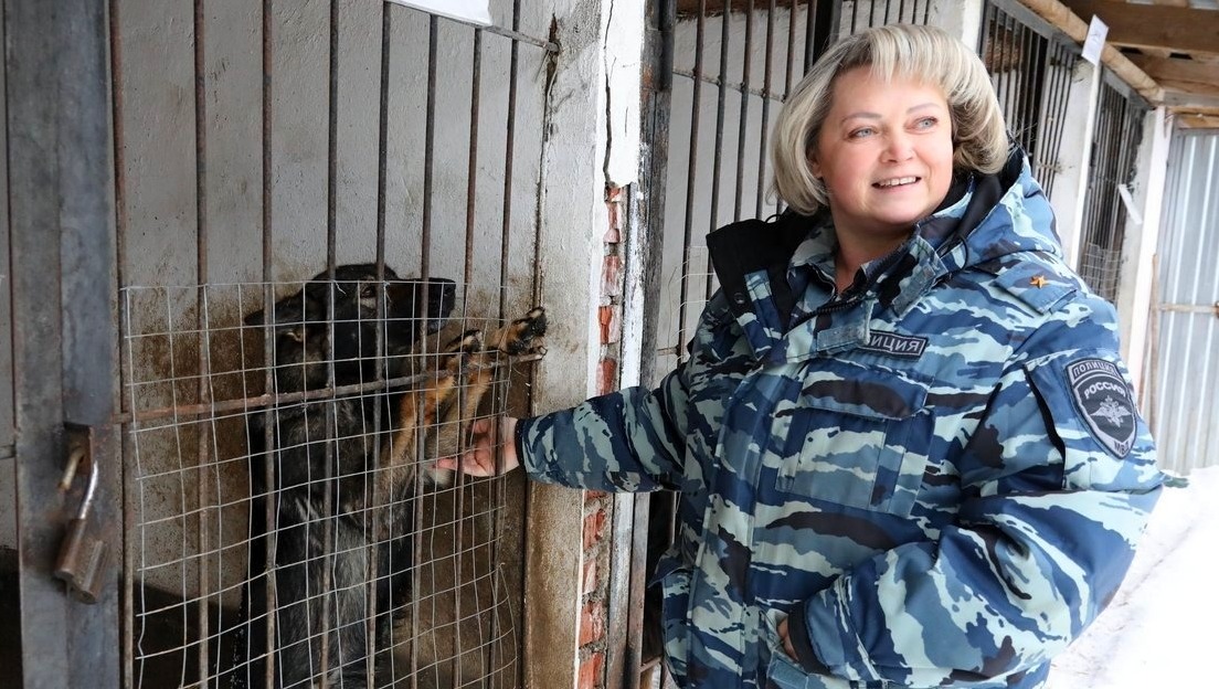 Валерий Шахов